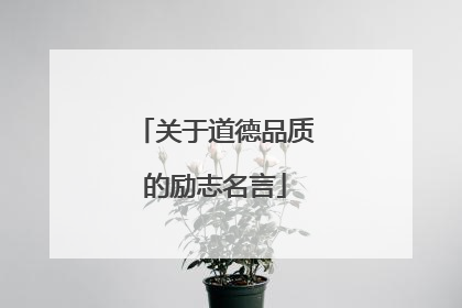 关于道德品质的励志名言