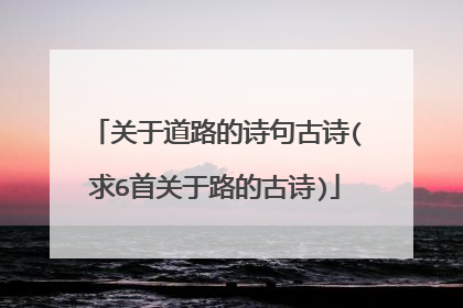 关于道路的诗句古诗(求6首关于路的古诗)