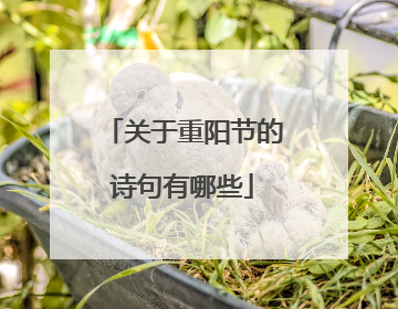 关于重阳节的诗句有哪些
