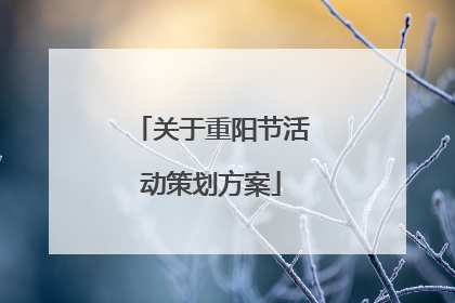 关于重阳节活动策划方案