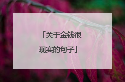 关于金钱很现实的句子