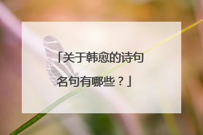 关于韩愈的诗句名句有哪些？