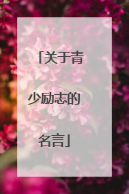 关于青少励志的名言