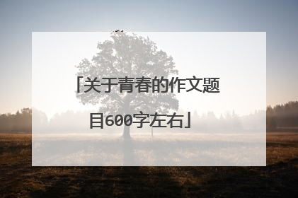 关于青春的作文题目600字左右