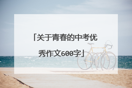 关于青春的中考优秀作文600字