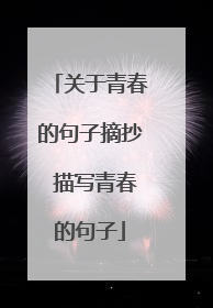 关于青春的句子摘抄 描写青春的句子