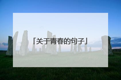 关于青春的句子