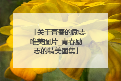 关于青春的励志唯美图片_青春励志的精美图集