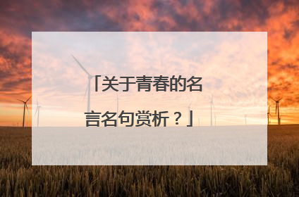 关于青春的名言名句赏析?
