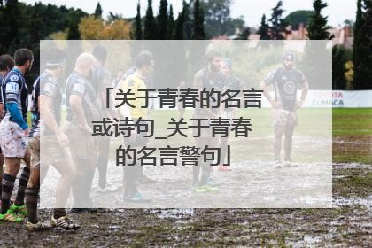 关于青春的名言或诗句_关于青春的名言警句