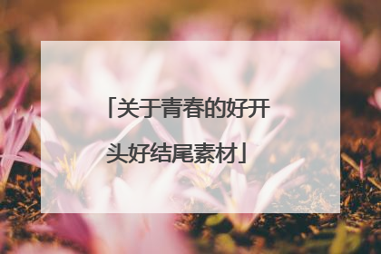关于青春的好开头好结尾素材