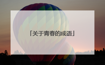 关于青春的成语