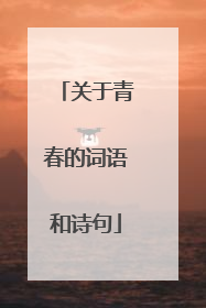 关于青春的词语和诗句
