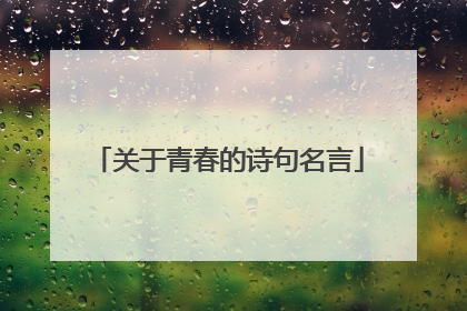 关于青春的诗句名言