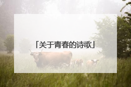 关于青春的诗歌