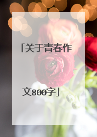 关于青春作文800字