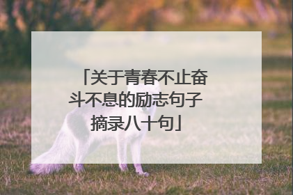 关于青春不止奋斗不息的励志句子摘录八十句