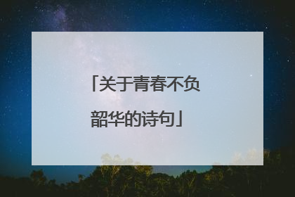 关于青春不负韶华的诗句