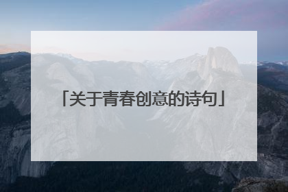 关于青春创意的诗句