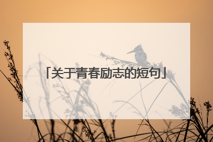 关于青春励志的短句