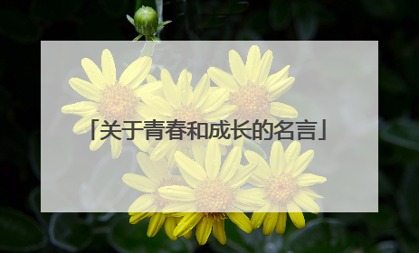 关于青春和成长的名言