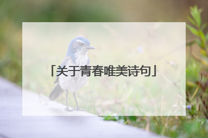 关于青春唯美诗句