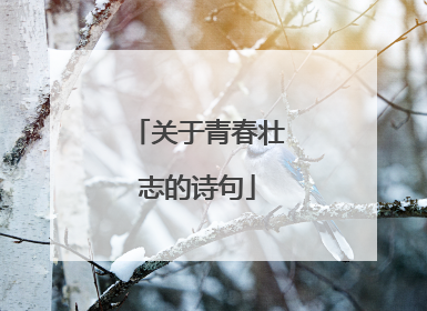 关于青春壮志的诗句