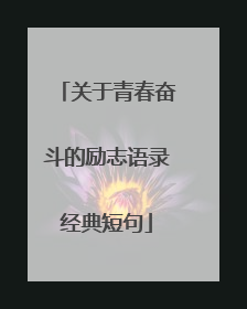 关于青春奋斗的励志语录经典短句