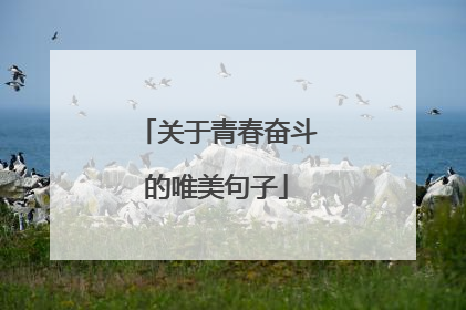 关于青春奋斗的唯美句子