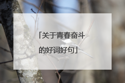 关于青春奋斗的好词好句