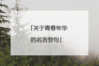 关于青春年华的名言警句