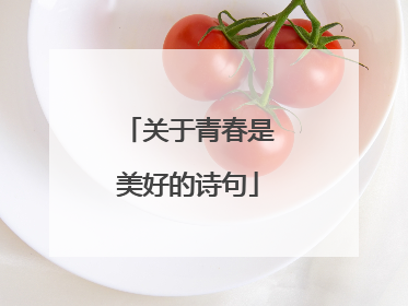 关于青春是美好的诗句