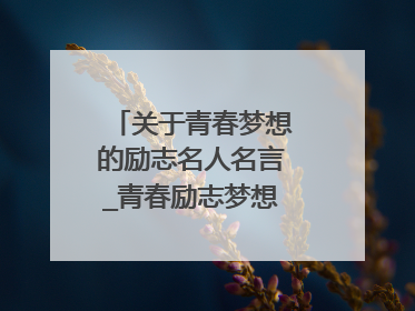 关于青春梦想的励志名人名言_青春励志梦想经典语录