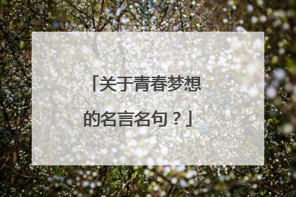 关于青春梦想的名言名句？