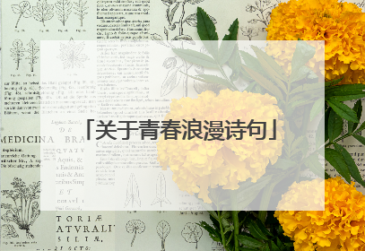 关于青春浪漫诗句