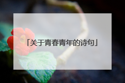 关于青春青年的诗句