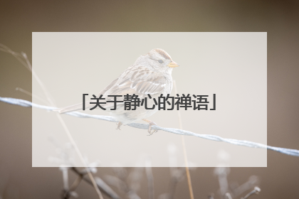 关于静心的禅语