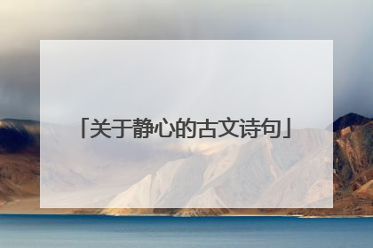 关于静心的古文诗句