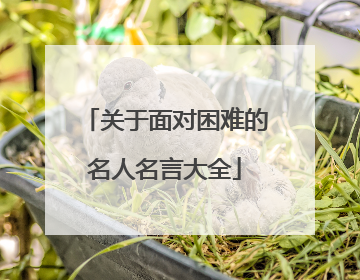 关于面对困难的名人名言大全