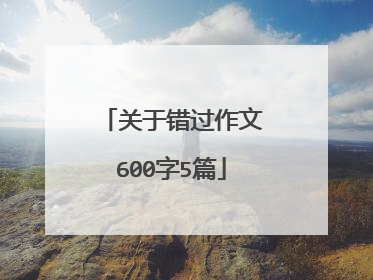 关于错过作文600字5篇