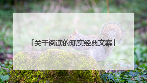 关于阅读的现实经典文案