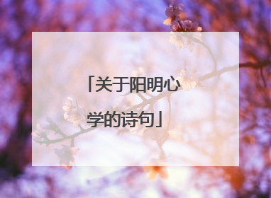 关于阳明心学的诗句