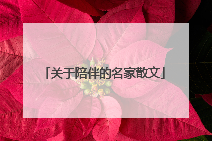 关于陪伴的名家散文