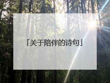 关于陪伴的诗句