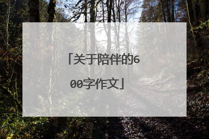 关于陪伴的600字作文