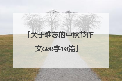 关于难忘的中秋节作文600字10篇