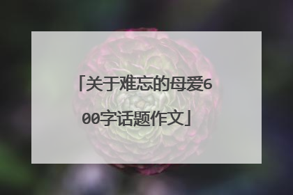 关于难忘的母爱600字话题作文