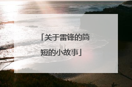 关于雷锋的简短的小故事
