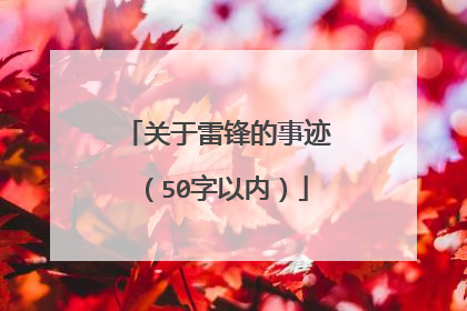 关于雷锋的事迹（50字以内）
