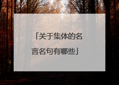 关于集体的名言名句有哪些